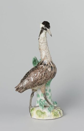 Bittern