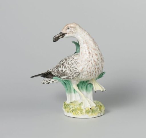 Gull