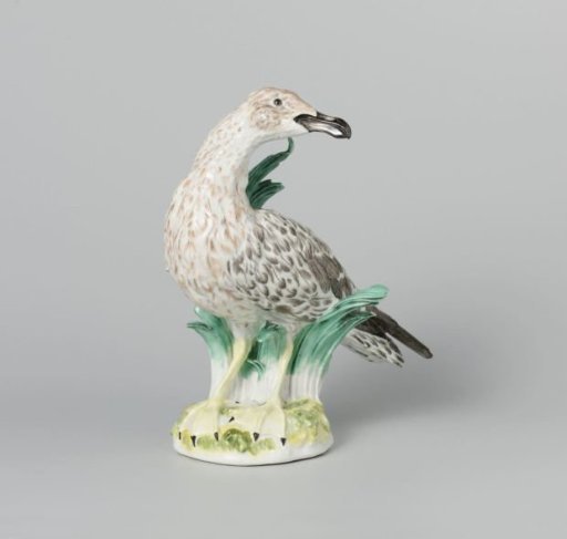 Gull