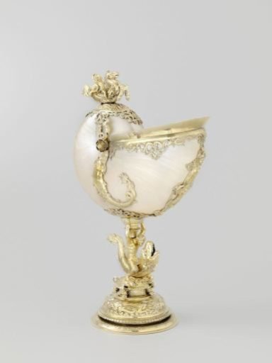 Nautilus cup