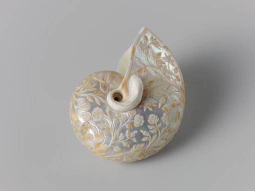 Nautilus Shell of Mother-of-Pearl Carved with Floral Scrolls