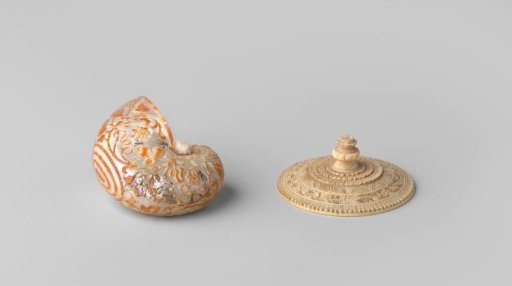 Nautilus shell with carved grapevines, with accompanying stand