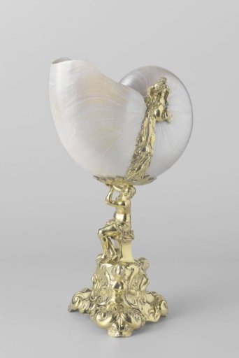 Nautilus cup