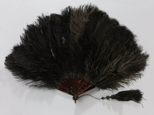 Folding fan of black ostrich feathers on mount of unadorned tortoiseshell, provided with metal fan ring to which a black silk tassel is attached
