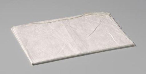 Fragment: with bandwork and volutes