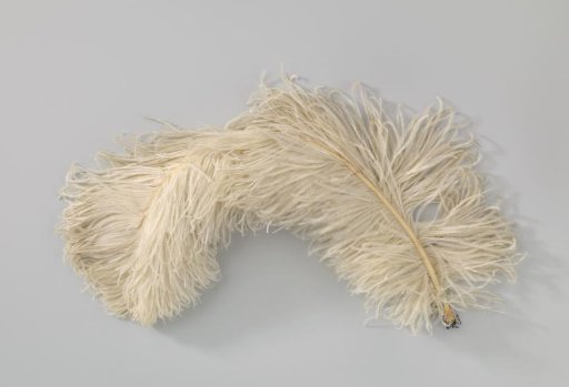 Ostrich feathers, white, for decorating a hat