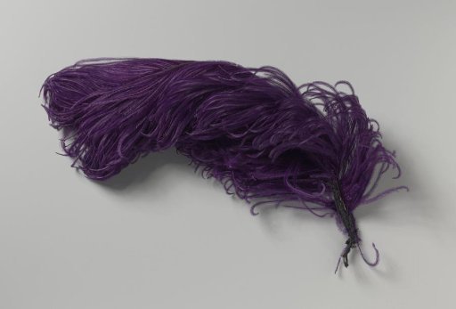 Ostrich feather, purple in colour