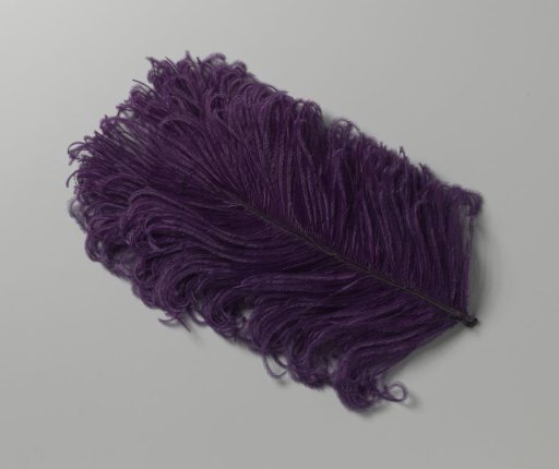 Ostrich feather, purple in colour