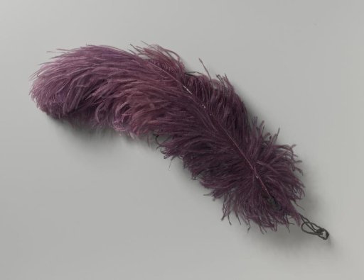 Ostrich feather, purple in colour, with a gradation from dark to light