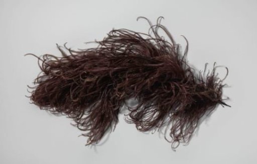 Ostrich feather, aubergine in colour