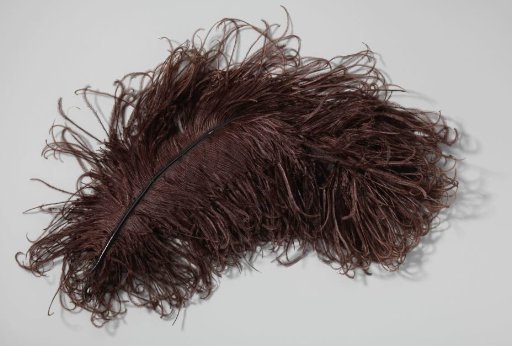 Ostrich feather, aubergine in colour