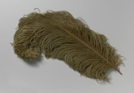 Ostrich feather, moss green in color