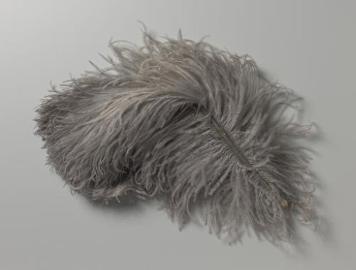 Ostrich Feathers, Grey in Colour