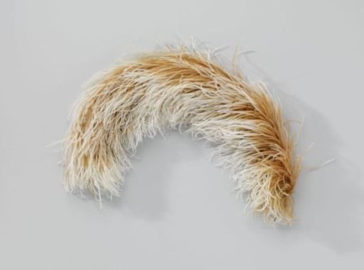 Ostrich feather in brown and white