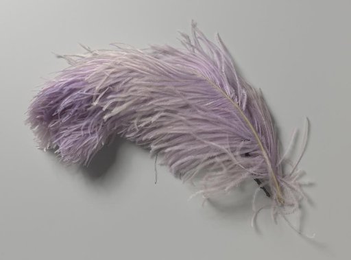 Ostrich feather with color gradient from white to lilac