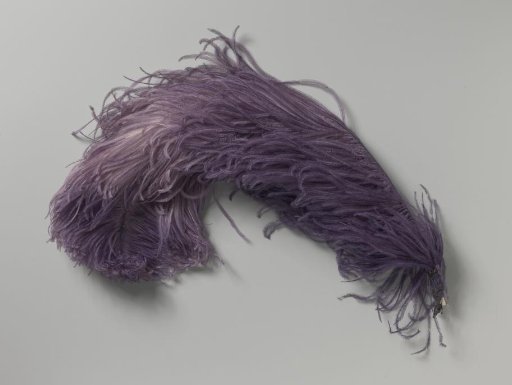Ostrich feather, lilac in color, with gradient from dark to light