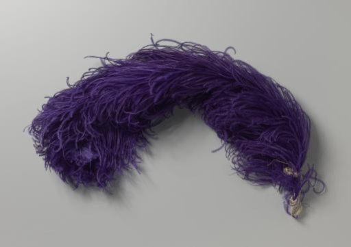Ostrich feather, purple in color