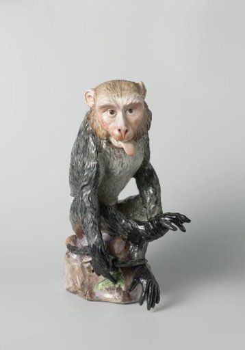 Monkey