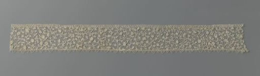 Strip of needle lace with a thin vine and small relief flowers