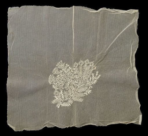 Sample sheet of lace embroidery on machine-made tulle with a withered flower branch