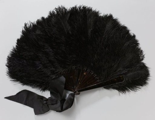 Fan of Black Ostrich Feathers on a Closed Tortoiseshell Mount with a Black Satin Bow