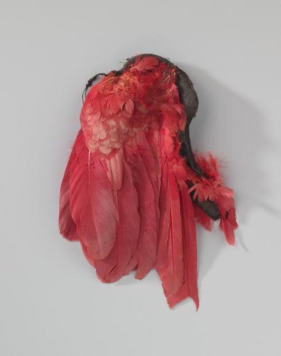 Hat Feather of Rose Hen's Wing