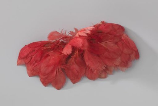 Tuft of Rose Chicken Feathers