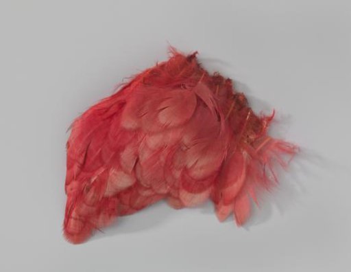 Tuft of rose-colored chicken feathers
