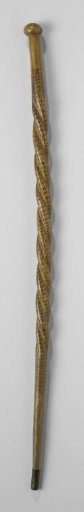 Walking stick