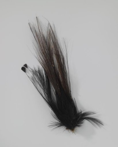 Aigrette with a Plume of Smooth Heron Feathers as a Crown, Black