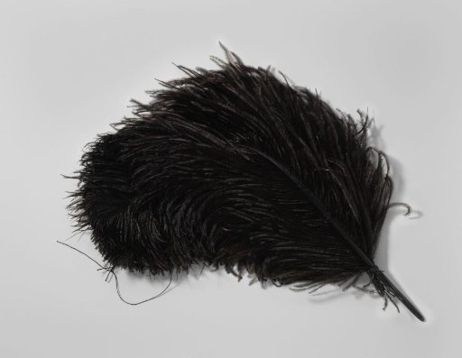 Tuft of three black ostrich feathers with strongly curled ends