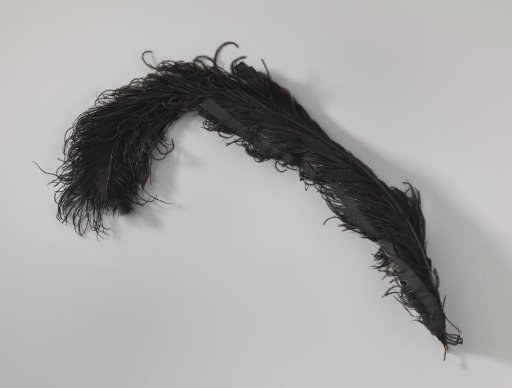 Ostrich feather, black, held together at the back by two pieces of black grosgrain ribbon
