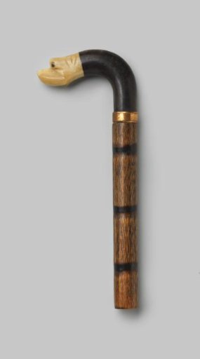 Handle of wood, with a curved knob of black horn, ending in a dog's head of beige horn