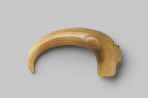 Knob of beige horn, curved, ending in a sharp point