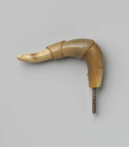 Knob of beige horn, curved, with three thickenings, ending in a point