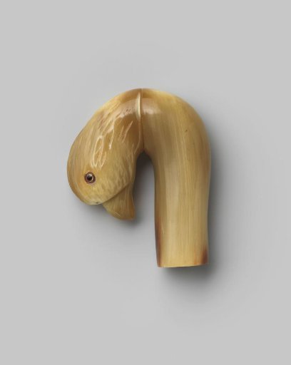 Knob of beige horn in the shape of a parrot's head