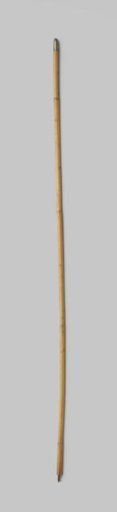 Handle of parasol or umbrella of bamboo with metal screw thread and point