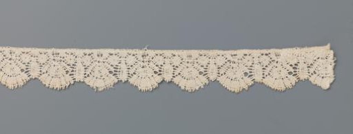 Strip of bobbin lace with shells of fan flowers