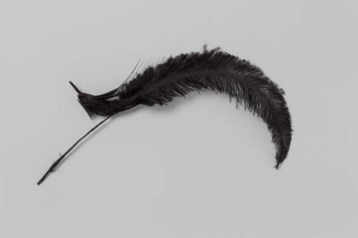Black feather in a hat