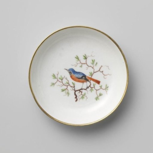 Dish