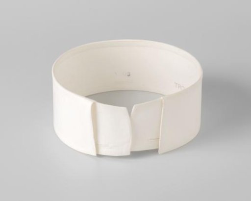 Linen collar, belonging to an amazon costume