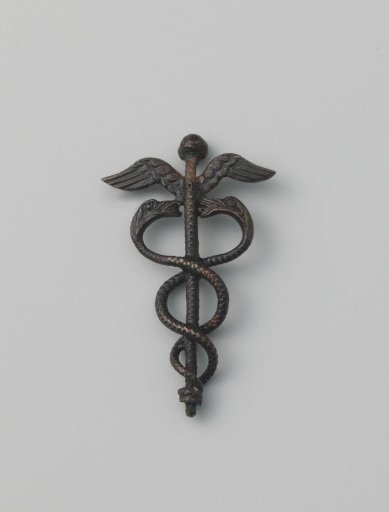 Staff of Aesculapius of black lacquered metal