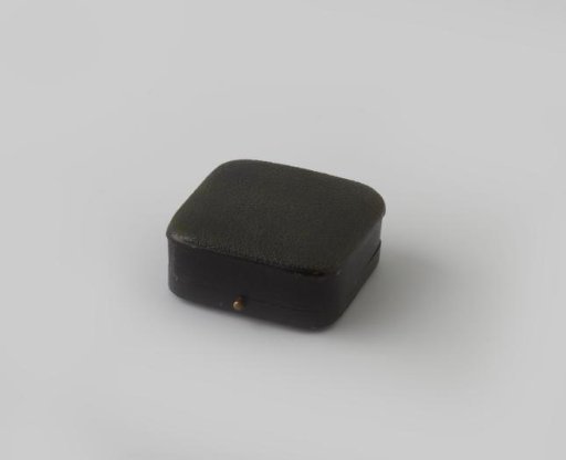 Case for a brooch