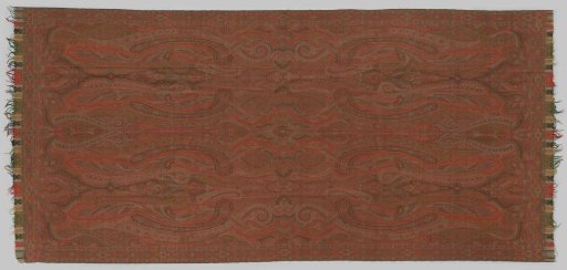 Long Kashmir shawl completely covered with a pattern of elongated feather motifs and flowers