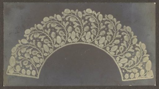 Photo of a lace fan leaf with a row of branches bent in one direction