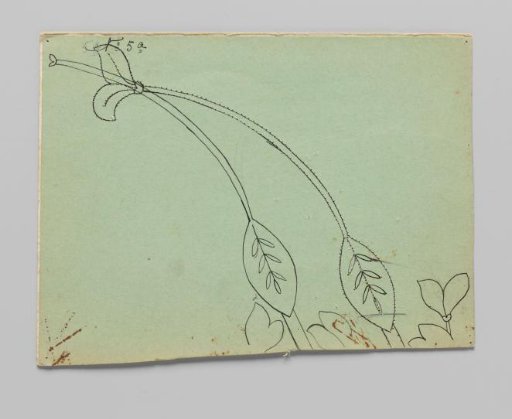 Lace pattern for a garment of bobbin lace with golden vine branches and flowers