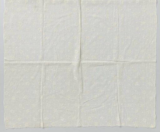 Fragment of batiste