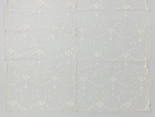 Fragment of tulle with vine pattern