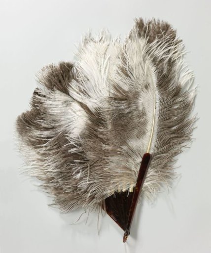 Fan with a Mount of Imitation Tortoiseshell on Which Taupe-Coloured Ostrich Feathers Are Arranged in an Ascending Row