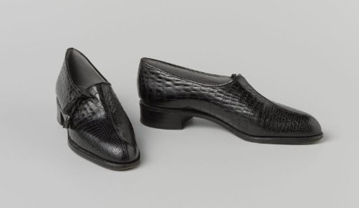 Pair of laced shoes